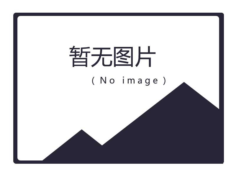 可移動(dòng)抱胎式舉升機(jī)-客車(chē)商用車(chē)專(zhuān)用